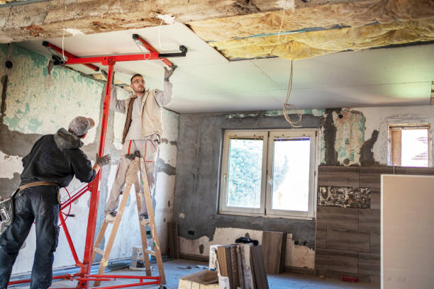 Best Insulation Maintenance and Repair in Hawkins, TX